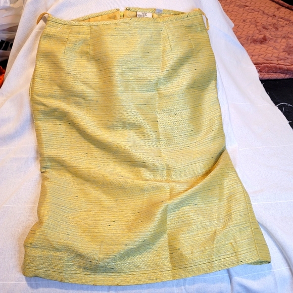 ELEGANT SKIRT/ Size 6 P - Picture 1 of 5